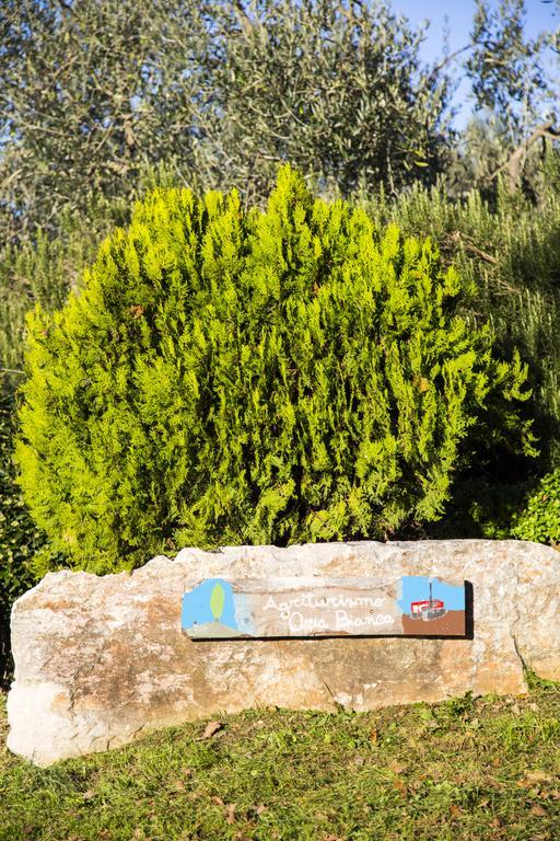 Agriturismo Oria Bianca Villa San Quirico dʼOrcia Buitenkant foto